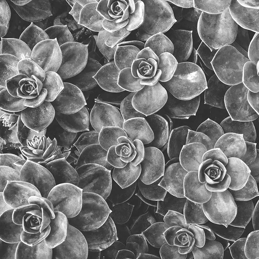 项目投资的注意要点